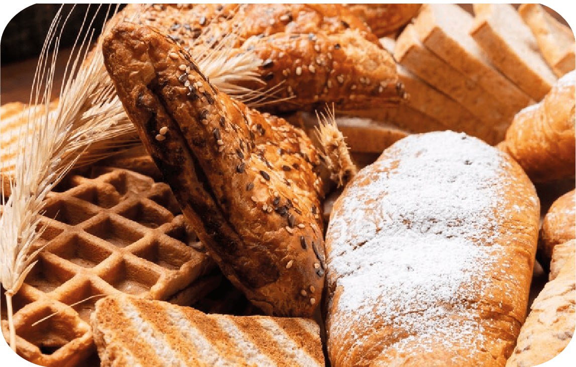 photo_٢٠٢٣-١٢-٠٤_١٨-٠٤-٥٤